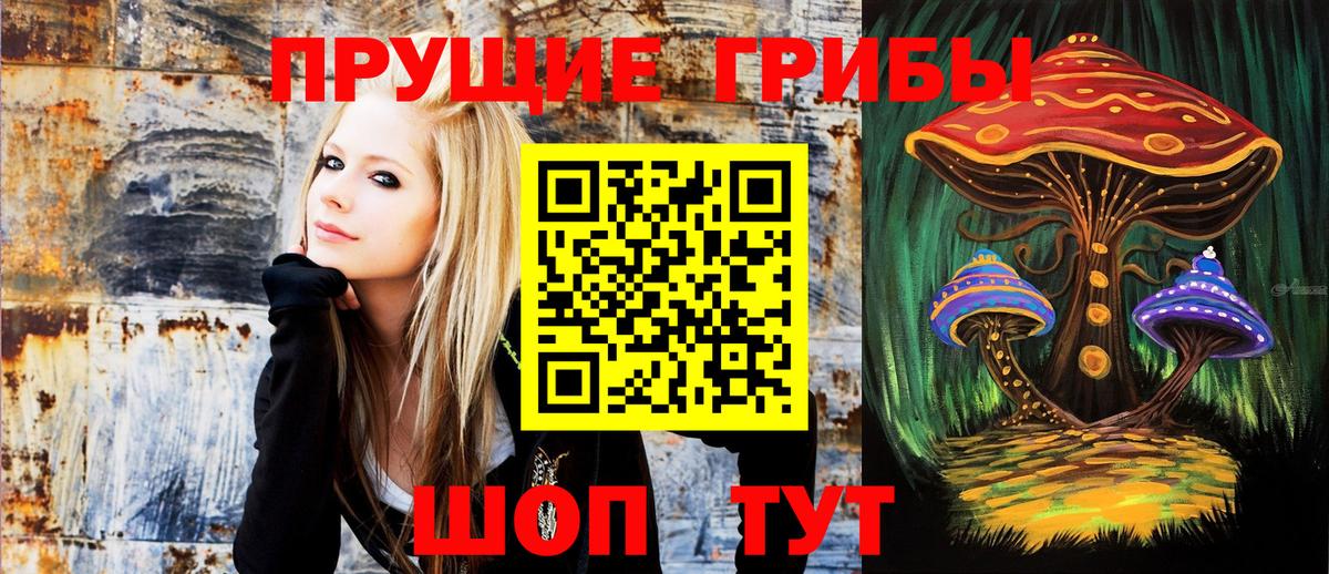Саров  Галлюциногенные грибы Psilocybe  Вход с VPN 